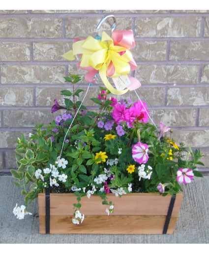 OUTDOOR HANGING BASKET Outdoor Blooming Planter