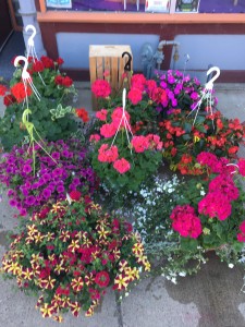OUTDOOR HANGING BASKETS MOTHER'S DAY
