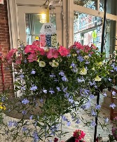 Outdoor Hanging Plant 
