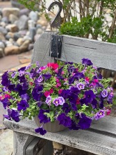 Outdoor Hanging Planters  