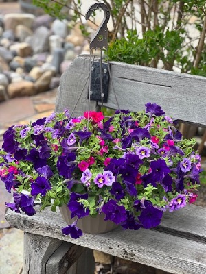 Outdoor Hanging Planters  