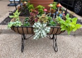 Outdoor Mixed Planter  