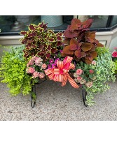 Outdoor Mixed Planter  
