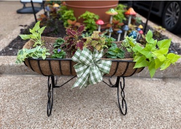 Outdoor Mixed Planter in Jefferson City, MO | RIVER CITY FLORIST & GIFTS Outdoor Mixed Planter in Jefferson City, MO | RIVER CITY FLORIST & GIFTS