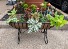 Outdoor Mixed Planter  