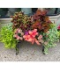 Outdoor Mixed Planter  