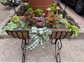 Outdoor Mixed Planter  