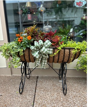 Outdoor Mixed Planter  
