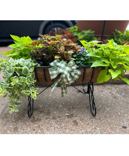 Outdoor Mixed Planter