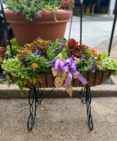 Outdoor Mixed Planter  