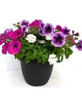 Outdoor Patio Planter Outdoor