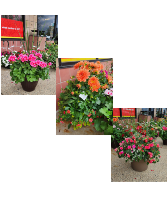 OUTDOOR PATIO PLANTERS PREORDER TODAY QUANTITIES LIMITED!