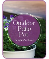 Outdoor Patio Pot Designer's Choice Patio Pot
