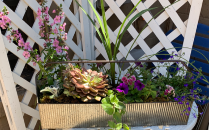 Outdoor planter 