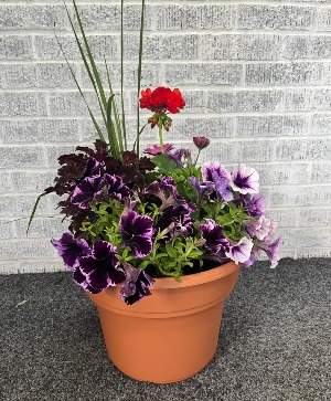 Outdoor Planter 