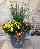 Outdoor Planter Plants