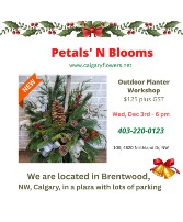 Outdoor Planter Workshop 