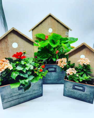 Outdoor Planters