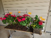 outdoor plants hanging baskets