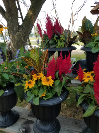 Fall Blooming Planter Blooming Outdoor Plants