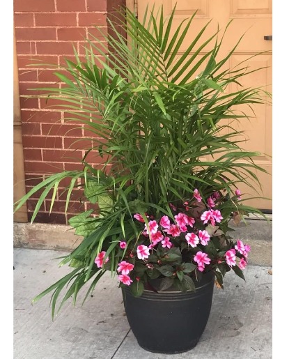 Outdoor Sun Loving Patio Pot  