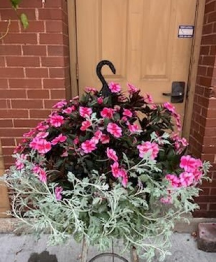 Outdoor Sunpatien with Dusty Miller Hanging Basket