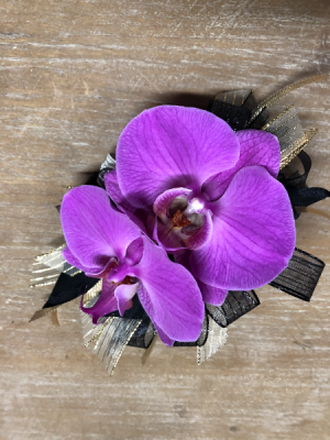 Outstanding Orchids Corsage