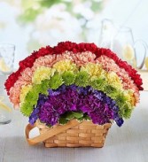 Over the Rainbow Basket Fresh Arrangement