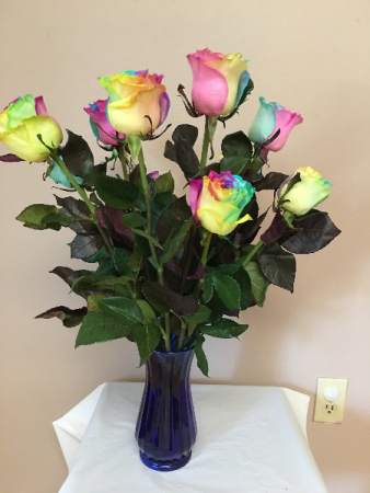 over the rainbow dz rainbow roses