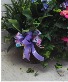 Oversize Mother's Day Planter Plants