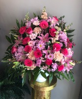Owen's Pretty with Pink 