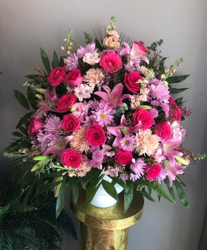 Owen's Pretty with Pink 