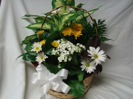 Large Planter with cut flowers added. Containers vary.