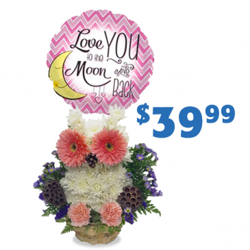 Owl Always Love You Fresh Cut with Balloon