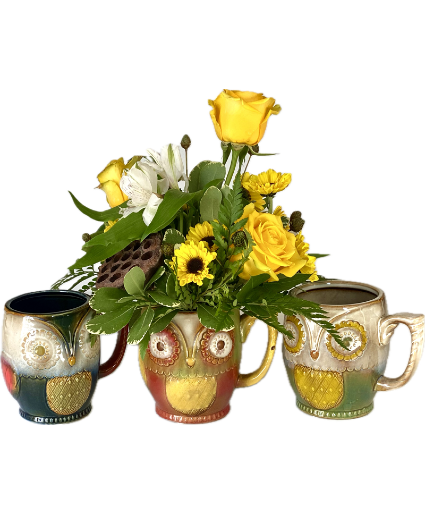 Owl Mug Arrangement Powell Florist Exclusive