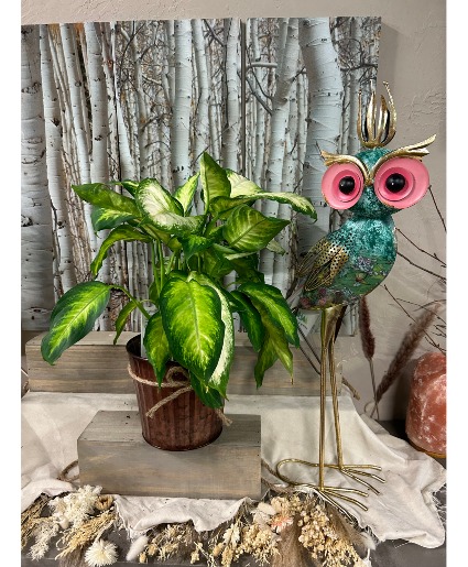 Owl & Plant Special Plant and Metal decor