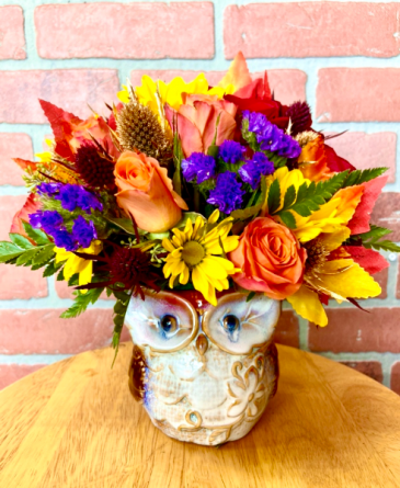 Owl you need is love.  in Whittier, CA | Rosemantico Flowers