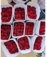 Pack of 25 Red Roses 