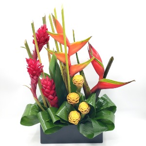 Encanto Tropical Father's Day