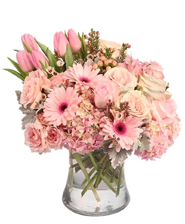 Pale Pink Delight Floral Arrangement  in Newark, OH | JOHN EDWARD PRICE FLOWERS & GIFTS