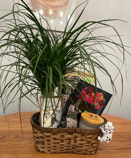 Pamper Me with Plants Basket Gift Basket