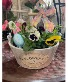 Panies Basket Plants