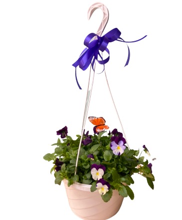Pansy Hanging Basket Any Occasion in Lewiston, ME | BLAIS FLOWERS & GARDEN CENTER