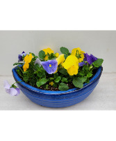 Pansy Perfection Potted Ceramic Bowl