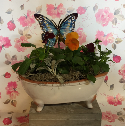 Pansy Tub