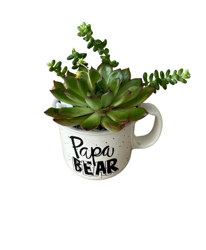 Papa Bear Mug Succulent Garden