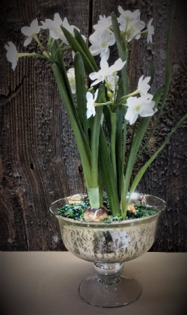 Paperwhites in Mercury Compote Bowl Local Delivery 