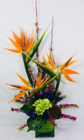 Paradise Blooms