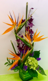 M11 Paradise Blooms