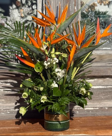 Paradise Found Floral Arrangement  in Key West, FL | Petals & Vines